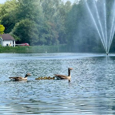 Luxury Kingfisher Lodge, Isis Lake, Within The Cotswold Waterpark Сайърънсестър Екстериор снимка