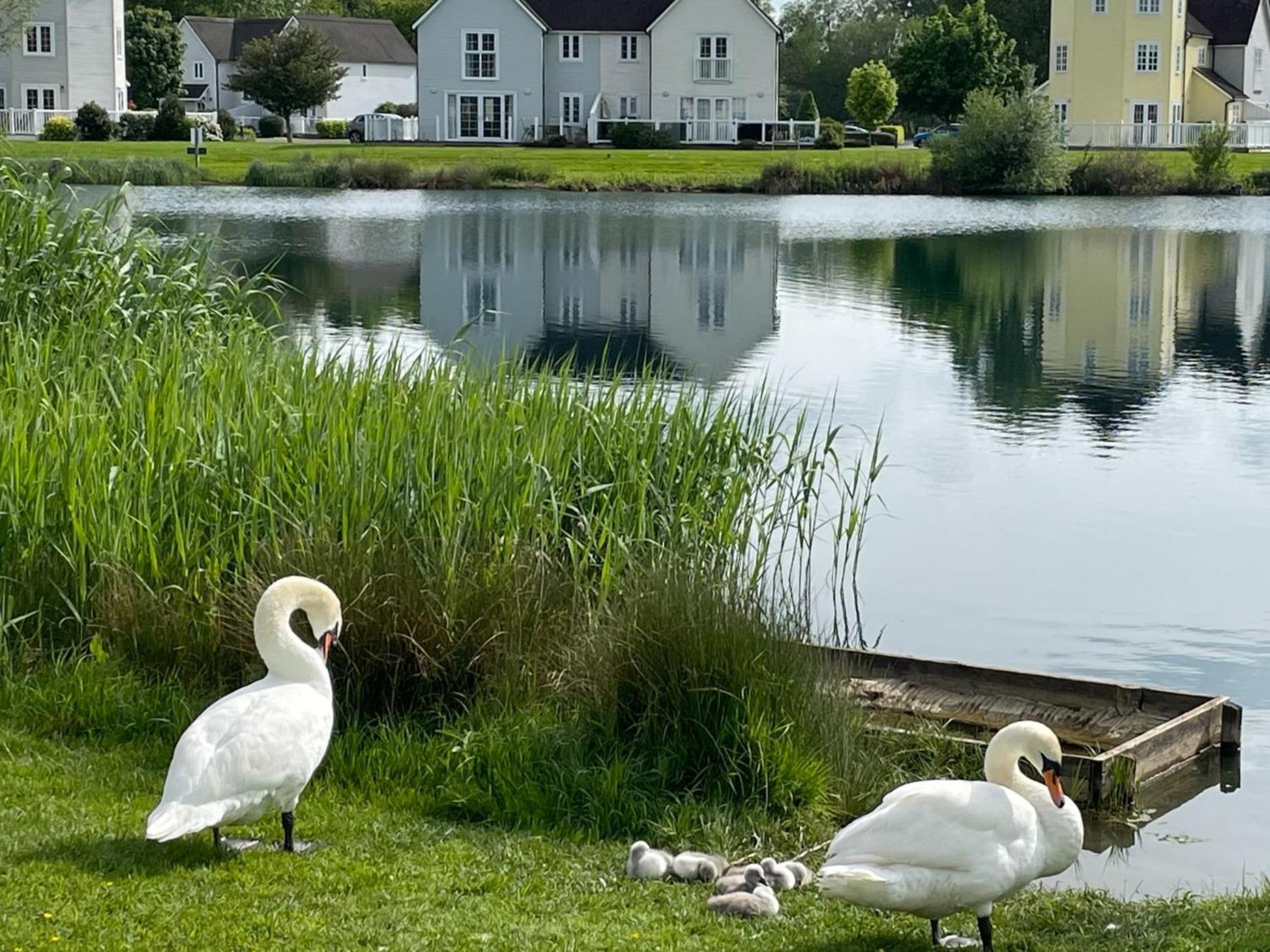 Luxury Kingfisher Lodge, Isis Lake, Within The Cotswold Waterpark Сайърънсестър Екстериор снимка