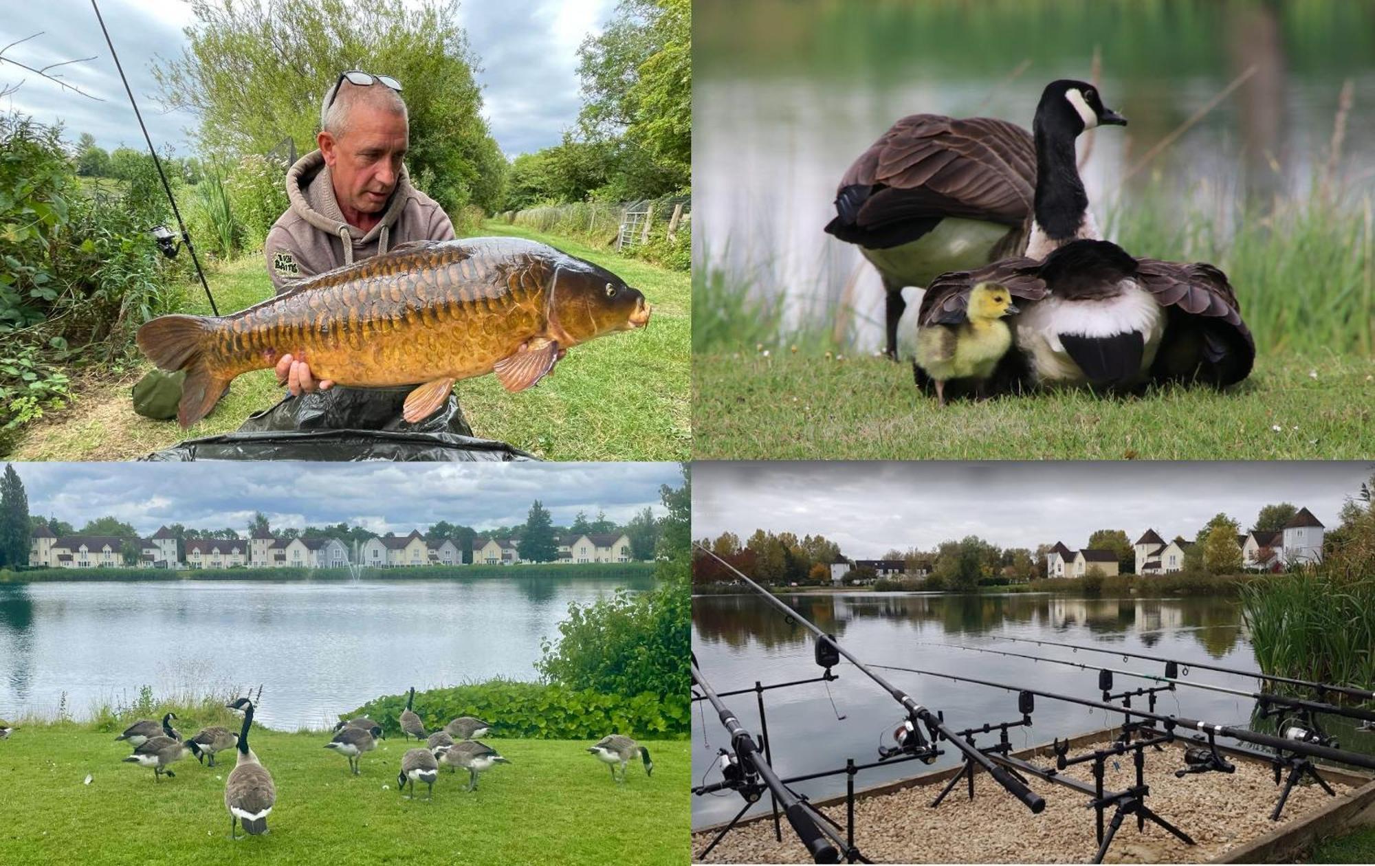 Luxury Kingfisher Lodge, Isis Lake, Within The Cotswold Waterpark Сайърънсестър Екстериор снимка