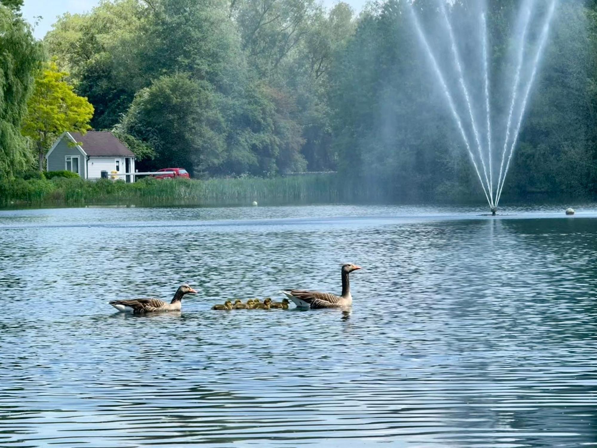 Luxury Kingfisher Lodge, Isis Lake, Within The Cotswold Waterpark Сайърънсестър Екстериор снимка